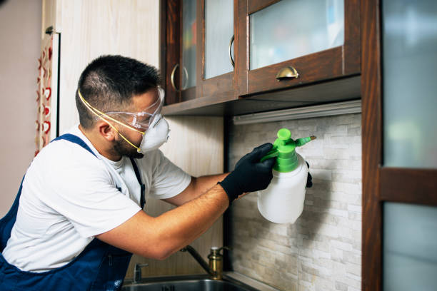 Best Termite Control Services  in Colby, WI