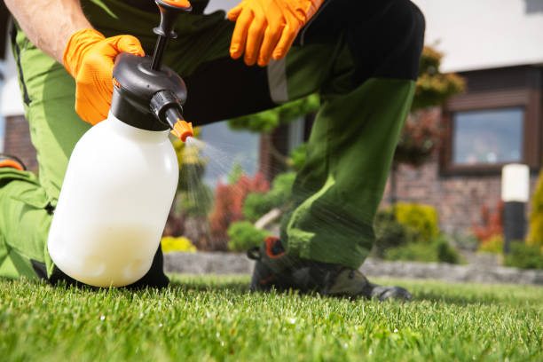 Best Affordable Pest Control Services  in Colby, WI
