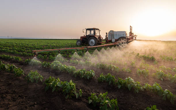 Best Pest Removal Services  in Colby, WI