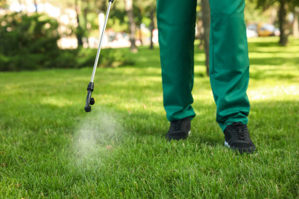 Best Mosquito Control Services  in Colby, WI