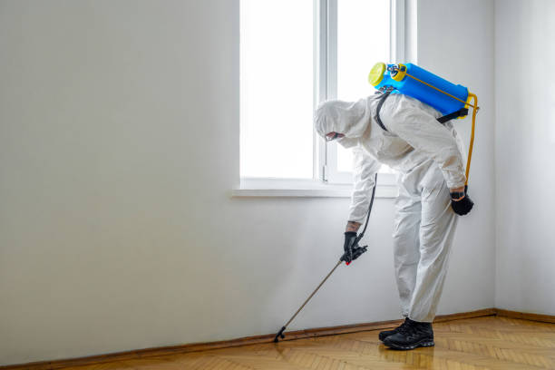 Pest Prevention Services in Colby, WI