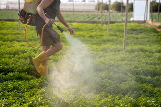 Best Ant Control Services  in Colby, WI