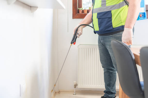 Best Local Pest Control Services  in Colby, WI