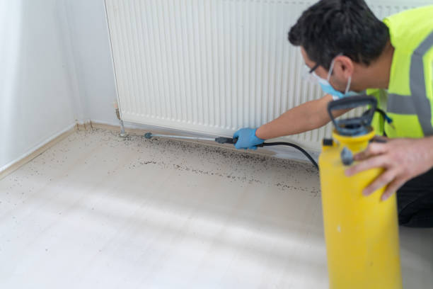 Best Emergency Pest Control  in Colby, WI
