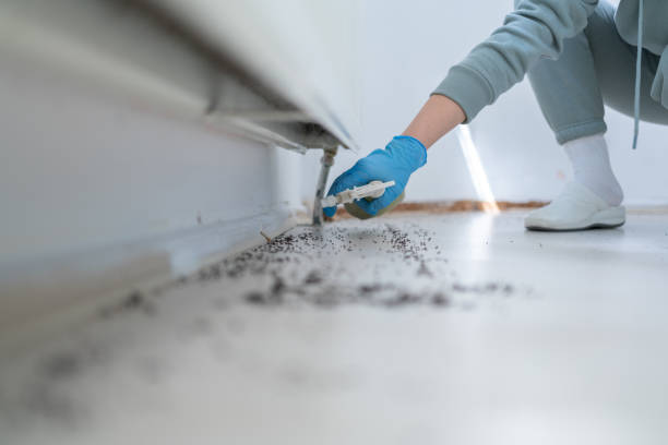 Best Exterminator Services  in Colby, WI