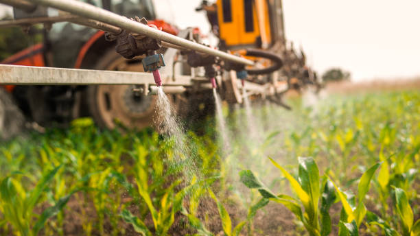 Best Pest Control for Businesses  in Colby, WI
