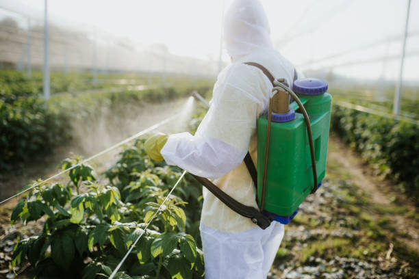 Best Emergency Pest Control  in Colby, WI